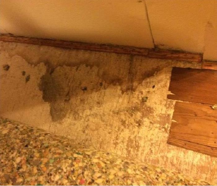 room with mold on floor